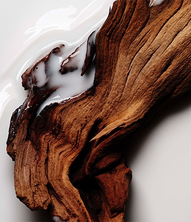 Sacred Wood body lotion