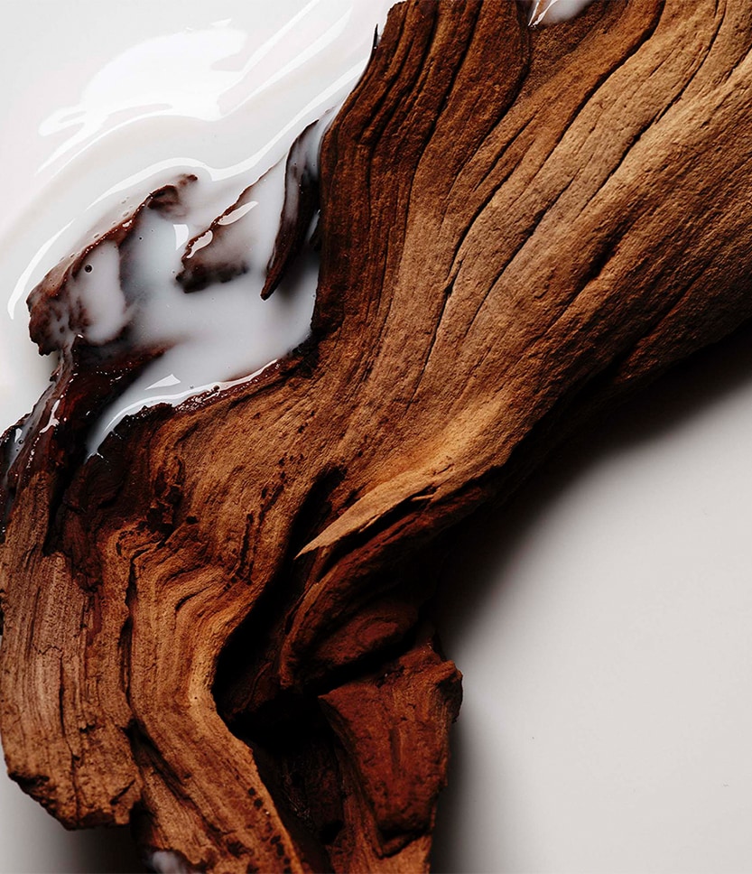 Sacred Wood body lotion