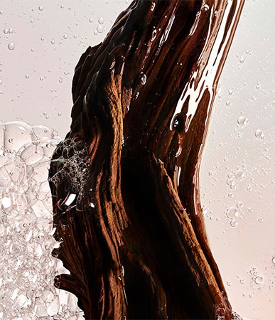 Sacred Wood shower gel