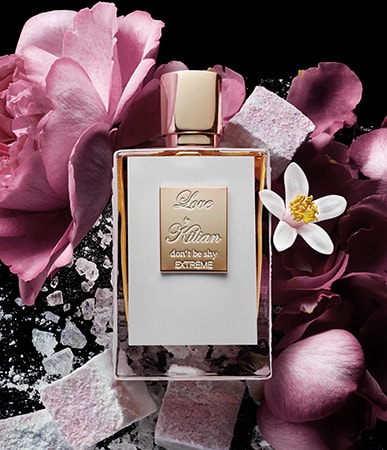 Love, don't be shy Extrême