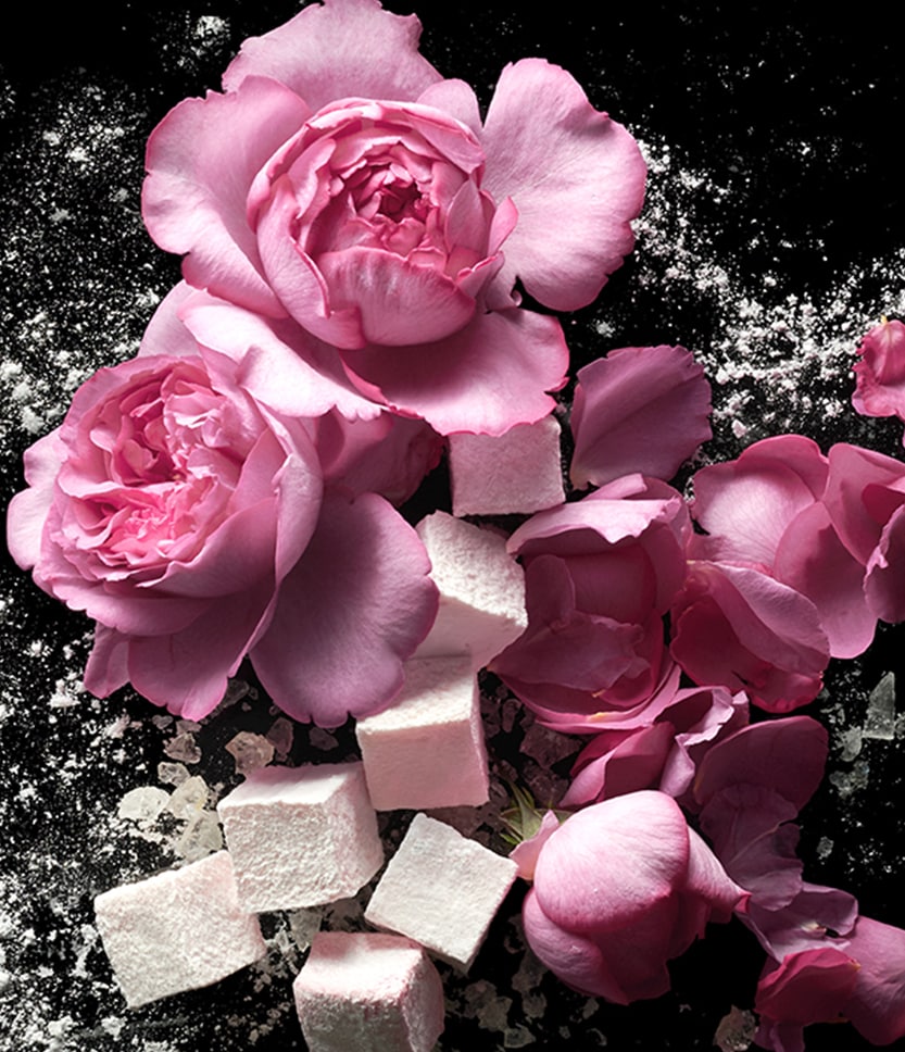 Love, don't be shy Extrême