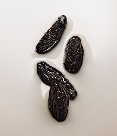 Angels' Share body lotion